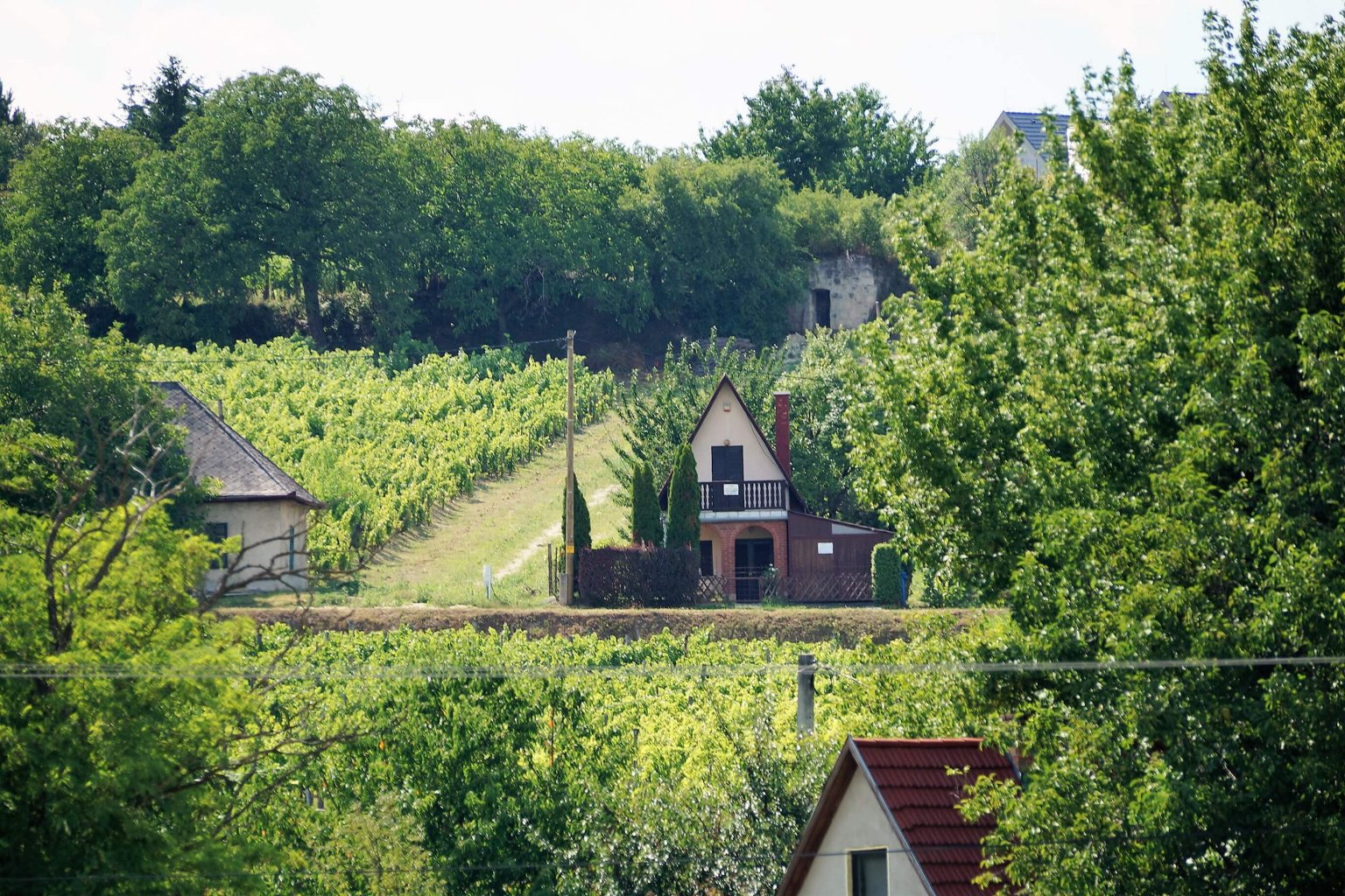 Bor, golf, lovaspóló, Etyekwood