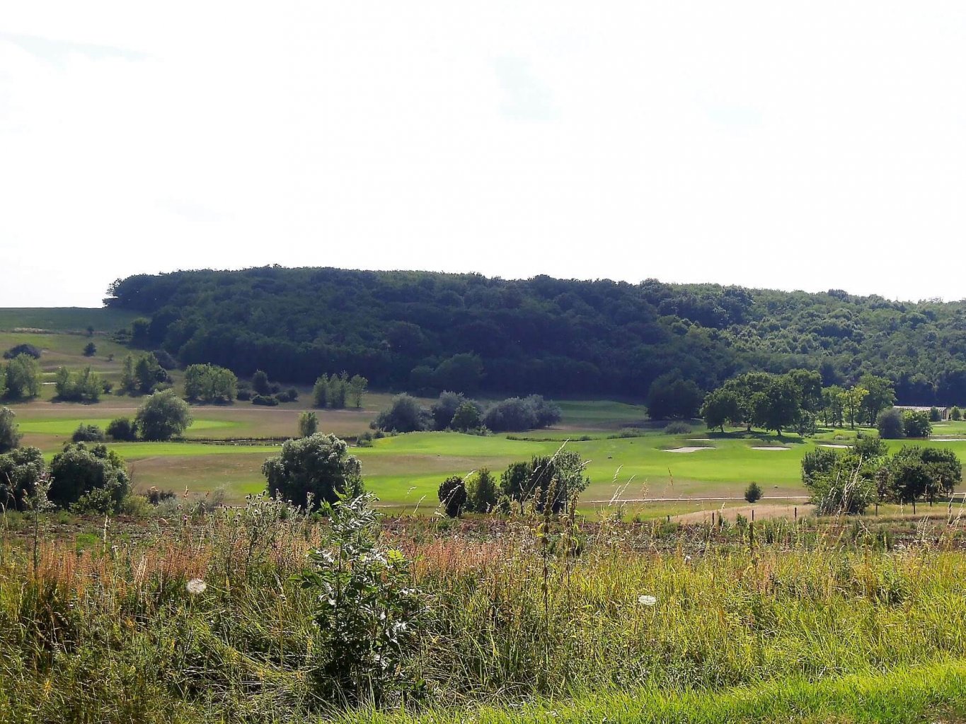 Bor, golf, lovaspóló, Etyekwood